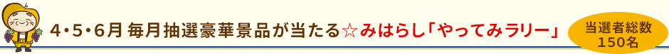 4・5・6月 毎月抽選豪華景品が当たるみはらし「やってみラリー」