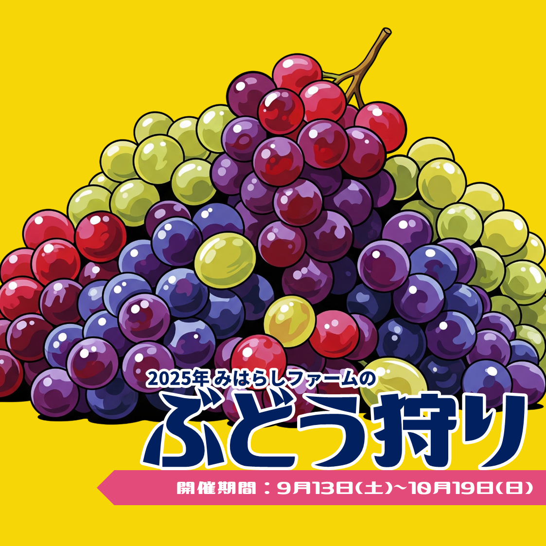 2025ぶどう_b.png