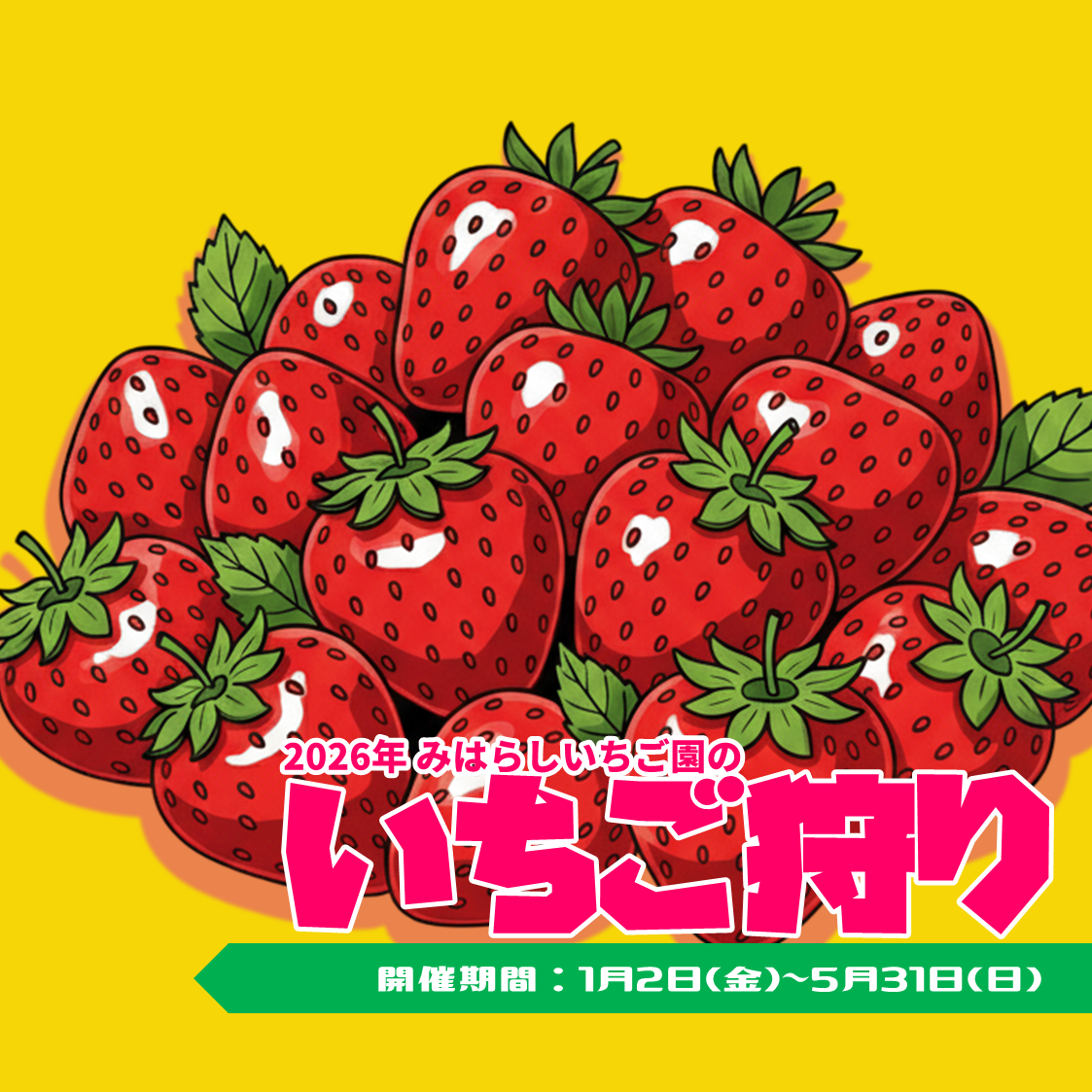 2026年いちご狩りご予約受付開始のお知らせ🍓 | みはらしファーム