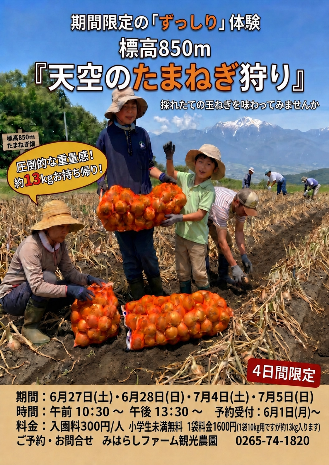 🧅2026年 玉ねぎ収穫体験のご案内🧅 | みはらしファーム