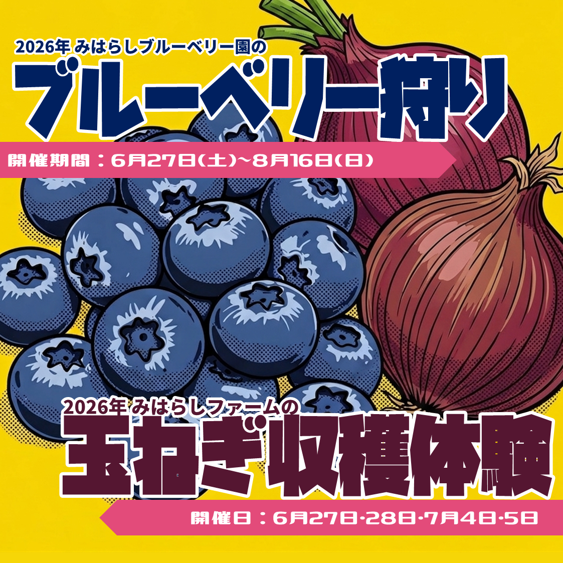 本日より予約受付スタート！「ブルーベリー狩り」＆「4日間限定 玉ねぎ